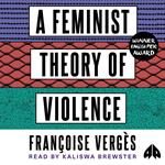 A Feminist Theory of Violence