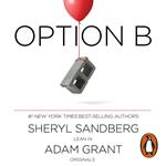 Option B