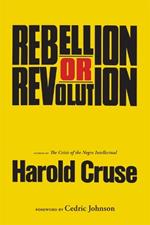 Rebellion or Revolution?