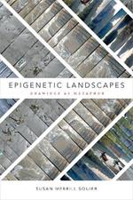 Epigenetic Landscapes: Drawings as Metaphor