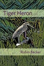 Tiger Heron