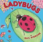 Ladybugs