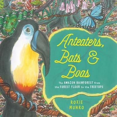 Anteaters, Bats & Boas: The Amazon Rainforest from the Forest Floor to the  Treetops - Roxie Munro - Libro in lingua inglese - Holiday House Inc - |  laFeltrinelli