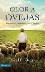 Olor a ovejas: Perspectives and Principles for Service