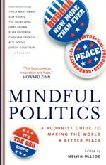 Mindful Politics