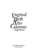 The Vaginal Birth After Cesarean (VBAC) Experience: Birth Stories by Parents and Professionals