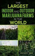 The Largest Indoor and Outdoor Marijuana Farms in the World