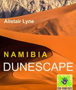 Namibia - Dunescape