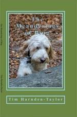 The Meanderings of Bing: A Gentle, Humorous Look at Life, Snooker, Whizzers and Other Great Philosophical Mysteries Through the Meanderings of Bing, a Dog of Rather Large Brain, and His Minder Tim, as They Potter Through Their Days Together