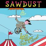 SAWDUST