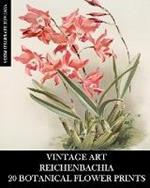 Vintage Art: Reichenbachia 20 Botanical Flower Prints: Flora Ephemera for Framing, Home Decor and Collage