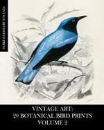 Vintage Art: 20 Botanical Bird Prints Volume 2: Ephemera for Framing, Collage, Mixed Media and Junk Journals
