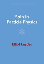 Spin in Particle Physics