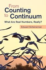 From Counting to Continuum: What Are Real Numbers, Really?