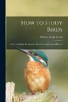 How to Study Birds: a Practical Guide for Amateur Bird-lovers and Camera-hunters