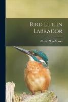 Bird Life in Labrador [microform]