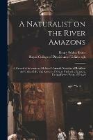 A Naturalist on the River Amazons: a Record of Adventures, Habits of Animals, Sketches of Brazilian and Indian Life, and Aspects of Nature Under the Equator, During Eleven Years of Travel