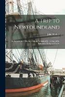 A Trip to Newfoundland [microform]: Its Scenery and Fisheries, With an Account of the Laying of the Submarine Telegraph Cable