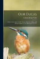 Our Ducks; a History of American Ducks, Nesting, Roosting, Feeding, and Playing Grounds; Habits Throughout the Year