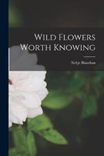 Wild Flowers Worth Knowing