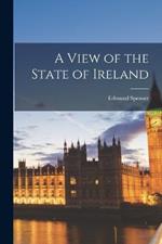 A View of the State of Ireland