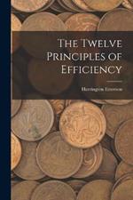 The Twelve Principles of Efficiency