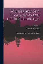 Wanderings of a Pilgrim in Search of the Picturesque: During Four-And-Twenty Years in the East; Volume 1