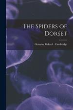 The Spiders of Dorset