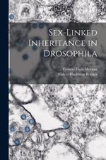 Sex-Linked Inheritance in Drosophila