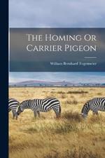 The Homing Or Carrier Pigeon