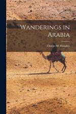 Wanderings in Arabia