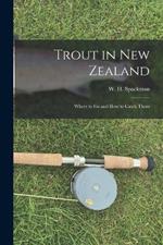 Trout in New Zealand: Where to Go and How to Catch Them