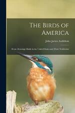 The Birds of America: From Drawings Made in the United States and Their Territories