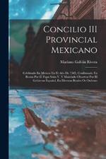 Concilio III Provincial Mexicano: Celebrado En Mexico En El Año De 1585, Confirmado En Roma Por El Papa Sixto V, Y Mandado Observar Por El Gobierno Español, En Diversas Reales Or Ordenes