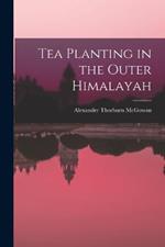 Tea Planting in the Outer Himalayah