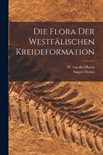 Die Flora der Westfalischen Kreideformation