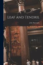 Leaf and Tendril