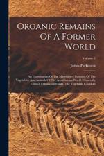 Organic Remains Of A Former World: An Examination Of The Mineralized Remains Of The Vegetables And Animals Of The Antediluvian World: Generally Termed Extraneous Fossils. The Vegetable Kingdom; Volume 1