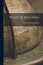 What is Malaria