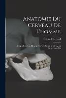 Anatomie Du Cerveau De L'homme: Morphologie Des Hemispheres Cerebraux, Ou Cerveau Proprement Dit