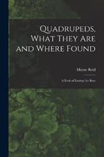 Quadrupeds, What They Are and Where Found: A Book of Zoology for Boys