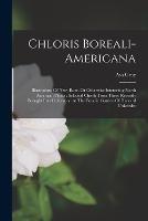 Chloris Boreali-americana: Illustrations Of New, Rare, Or Otherwise Interesting North American Plants: Selected Chiefly From Those Recently Brought Into Cultivation At The Botanic Garden Of Harvard University