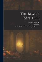 The Black Panther; Or, a Boy's Adventures Among the Redskins