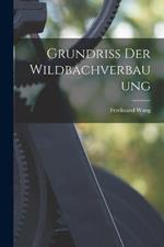 Grundriss Der Wildbachverbauung