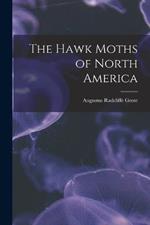 The Hawk Moths of North America