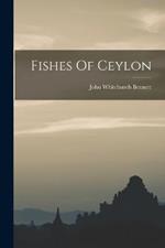 Fishes Of Ceylon