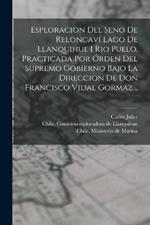 Esploracion del seno de Reloncavi´ lago de Llanquihue i rio Puelo. Practicada por o´rden del supremo gobierno bajo la direccion de Don Francisco Vidal Gormaz ..