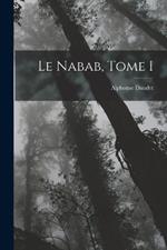 Le nabab, Tome I