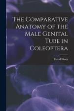 The Comparative Anatomy of the Male Genital Tube in Coleoptera