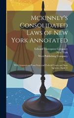 Mckinney's Consolidated Laws of New York Annotated: With Annotations From State and Federal Courts and State Agencies, Book 45